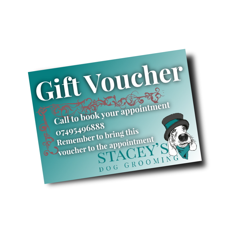 Gift Vouchers