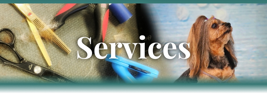 ServicesBanner2_850x300