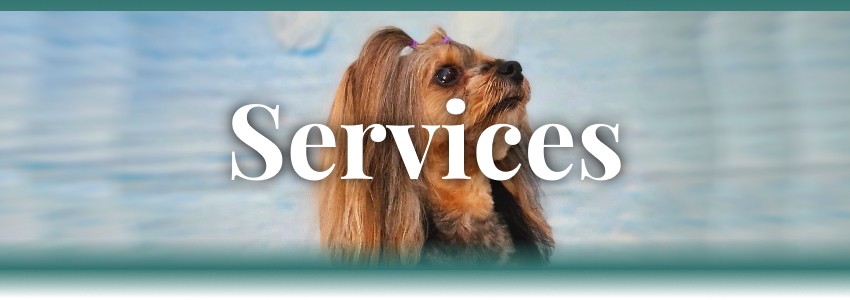 ServicesBanner850x300