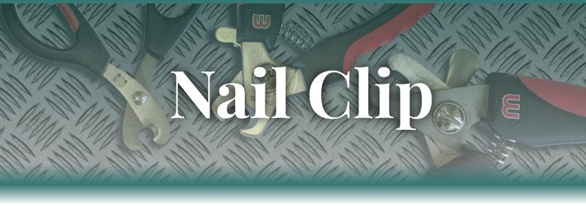 Nail Clip Banner