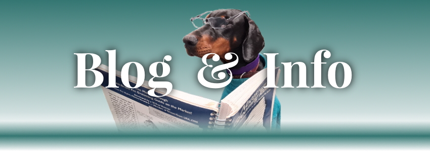 Doberman Reading Book