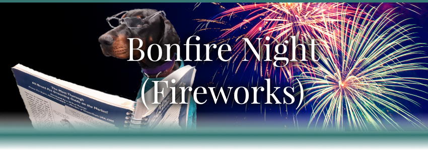 Bonfire Blog Banner