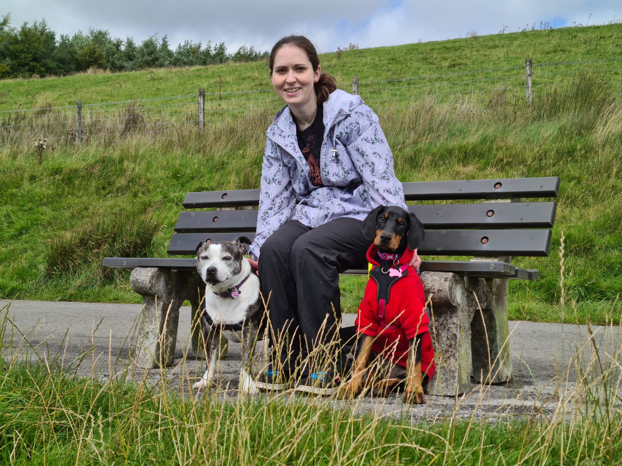 Dogs out on a walk