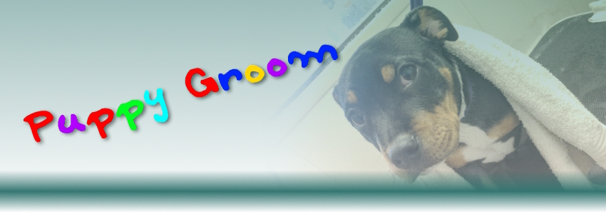 Puppy intro Banner