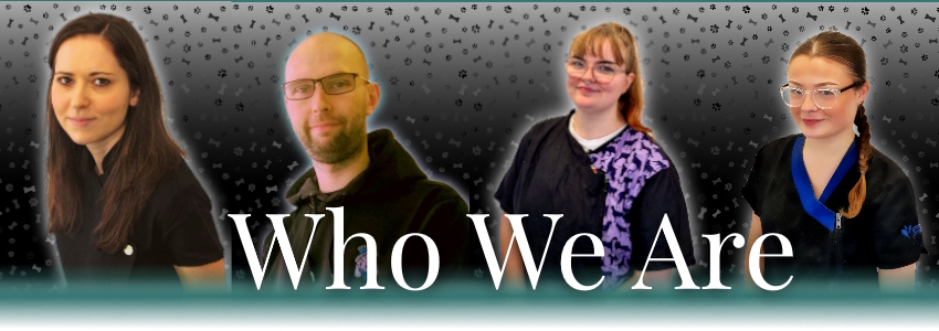 Banner of Who We Are